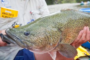 Young fisho Sean Vasquez with his unlucky flathead caught and released at Port Stephens, NSW.